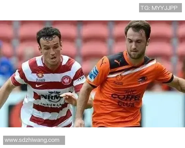 布里斯班狮吼迎战西部悉尼流浪者激战在即球迷期待精彩对决