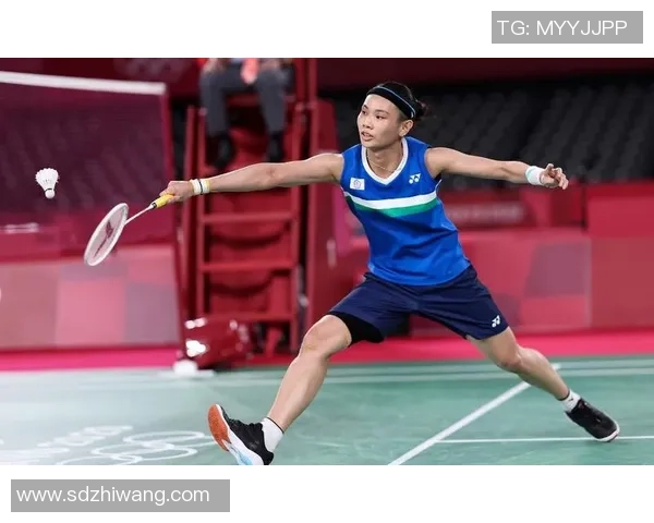 2014羽联总决赛精彩对决王适娴与裴延姝的巅峰较量回顾